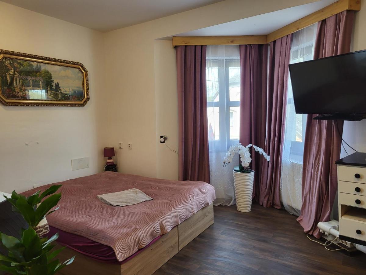 Pension Doctor Dvůr Králové nad Labem Стая снимка