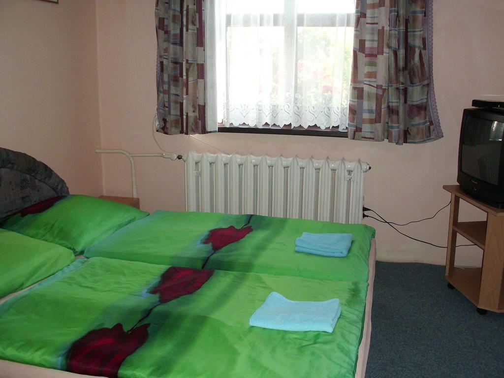 Pension Doctor Dvůr Králové nad Labem Стая снимка